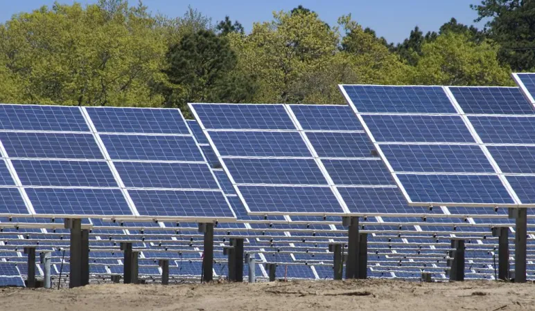 ભારત પુનઃપ્રાપ્ય ઉર્જા ક્ષમતાને માપી રહ્યું છે, પરંતુ પડકારો બાકી છે: ADB