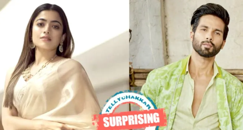 રશ્મિકા મંદાનાએ શાહિદ કપૂરની ફિલ્મ માટે VNRTrio છોડવાનો ઇનકાર કર્યો