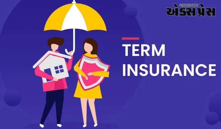 ટર્મ ઈન્સ્યોરન્સ : એનઆરઆઈઓની નાણાકીય વ્યૂહરચના  માટે એક બુદ્ધિશાળી વિકલ્પ