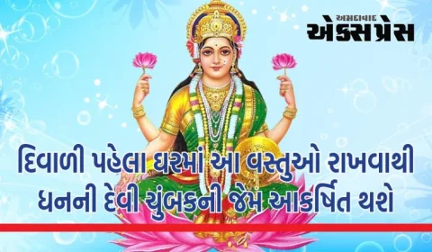 દિવાળી પહેલા ઘરમાં આ વસ્તુઓ રાખવાથી ધનની દેવી ચુંબકની જેમ આકર્ષિત થશે, બંને હાથે વરસાવશે અપાર ધન!