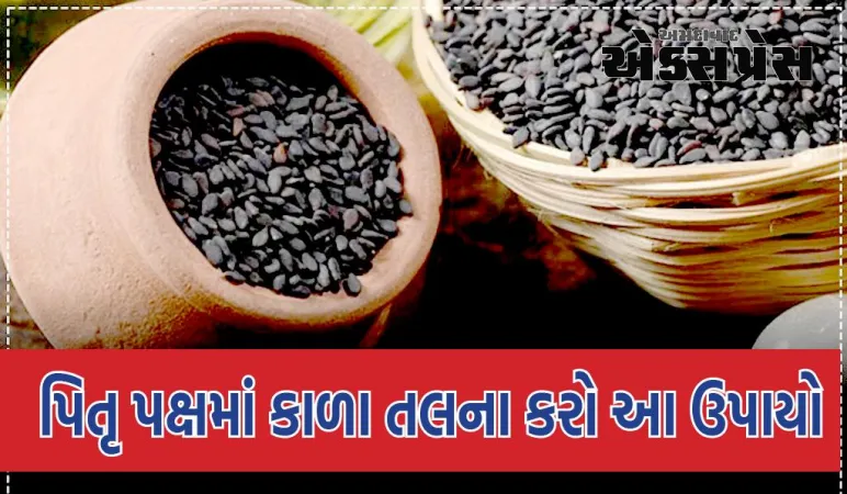 પિતૃ પક્ષમાં કાળા તલના આ ઉપાયોથી સાત પેઢી સુધી ધનની પ્રાપ્તિ થાય છે, પિતૃઓને મોક્ષની પ્રાપ્તિ થાય છે
