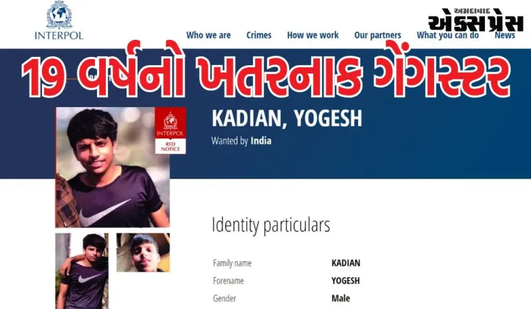 19 વર્ષનો યોગેશ કાદયન ખતરનાક ગેંગસ્ટર બન્યો, ઇન્ટરપોલે રેડ કોર્નર નોટિસ જારી કરી