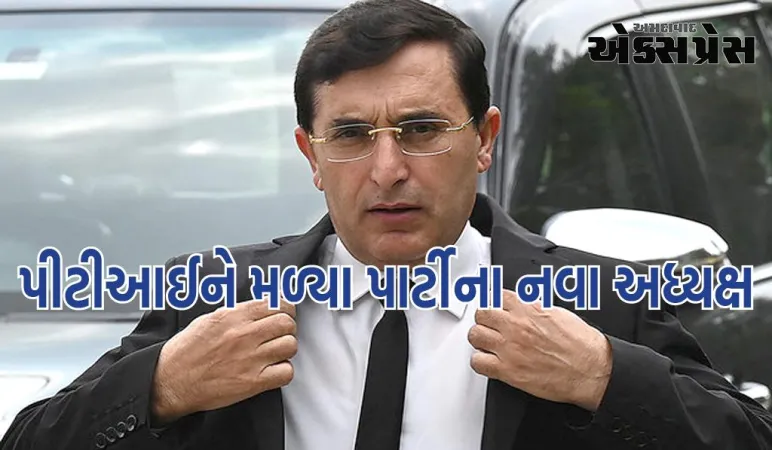 પાકિસ્તાનઃ પીટીઆઈને પાર્ટીના નવા અધ્યક્ષ મળ્યા, ઈમરાન ખાનના સ્થાને ગોહર અલી ચાર્જ સંભાળશે