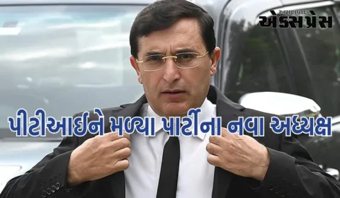 પાકિસ્તાનઃ પીટીઆઈને પાર્ટીના નવા અધ્યક્ષ મળ્યા, ઈમરાન ખાનના સ્થાને ગોહર અલી ચાર્જ સંભાળશે