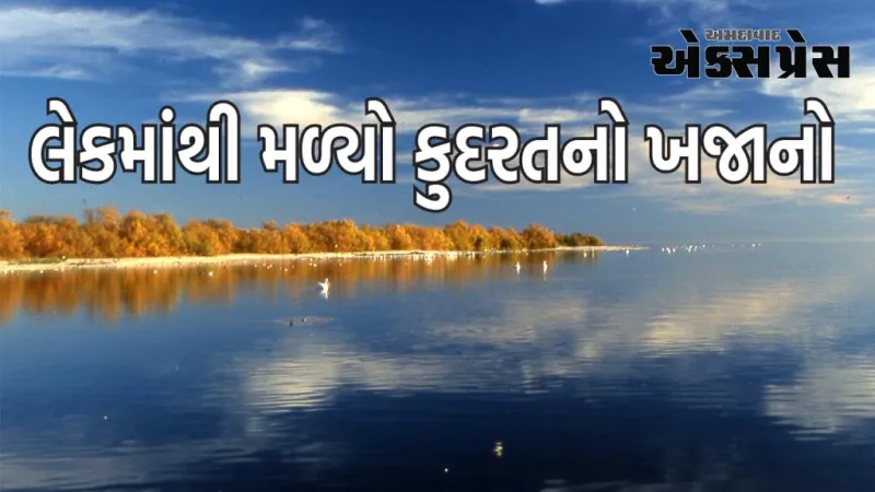 અમેરિકન લેકમાંથી મળ્યું વ્હાઈટ ગોલ્ડ, યુએસ માટે ગેમ ચેન્જર બની શકે છે