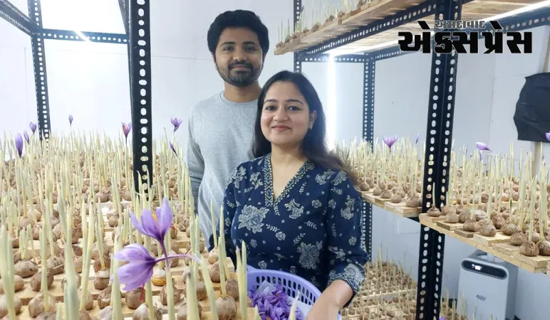 આ યુગલે કર્યો ચમત્કાર ! રૂમમાં માટી વિના રોપ ઉછેરી કરી કાશ્મીરી કેસરની ખેતી