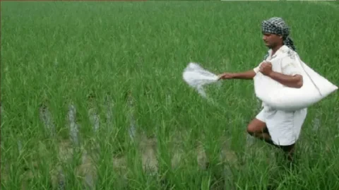 મોદી સરકાર ચૂંટણી પહેલા ખેડૂતો પર મહેરબાન, ખાતર પર 24,420 કરોડની સબસિડી આપશે
