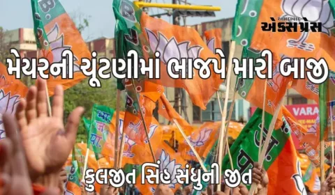 ચંદીગઢમાં વરિષ્ઠ ડેપ્યુટી મેયરની ચૂંટણીમાં ભાજપના ઉમેદવારનો વિજય, કોંગ્રેસ-આપને આંચકો