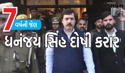 પૂર્વ સાંસદ ધનંજય સિંહને અપહરણ-ખંડણી કેસમાં 7 વર્ષની સજા, ચૂંટણી લડવા પર પ્રતિબંધ
