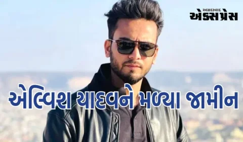 એલ્વિશ યાદવને મળ્યા જામીન, એનડીપીએસ એક્ટ હેઠળ ધરપકડ કરવામાં આવી હતી