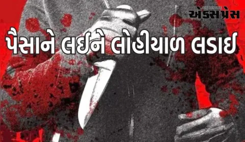 મધ્યપ્રદેશમાં પૈસાને લઈને લોહીયાળ લડાઈ, નાના ભાઈએ મોટા ભાઈની હત્યા કરી