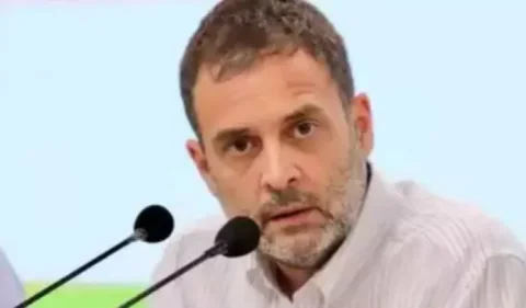 ભાજપે રાહુલ ગાંધીની EVM ટિપ્પણી પર કાર્યવાહીની માંગ કરી