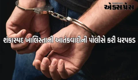 શંકાસ્પદ ખાલિસ્તાની આતંકવાદી જર્મનીથી ભારત પરત ફર્યો, દિલ્હી એરપોર્ટ પરથી પોલીસે કરી ધરપકડ 