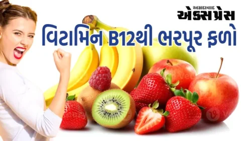 આ ફળોમાં સૌથી વધુ માત્રામાં વિટામિન B12 હોય છે, તેનો આહારમાં સમાવેશ કરવાથી નિર્જીવ જ્ઞાનતંતુઓને જીવન મળશે