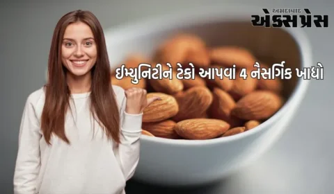 ઈમ્યુનિટીને ટેકો આપવાં 4 નૈસર્ગિક ખાદ્યો