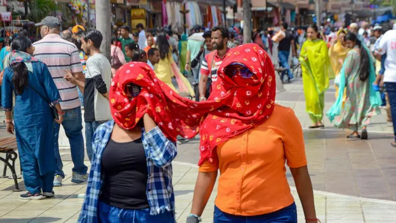 ગુજરાતમાં અતિશય ગરમી મૃત્યુદરમાં વધારો કરે છે, અભ્યાસમાં જાણવા મળ્યું