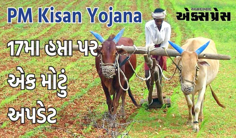 PM Kisan Yojana: લોકસભા ચૂંટણીના પરિણામો પછી આવી શકે છે 17મો હપ્તો, આ રીતે કરો અરજી