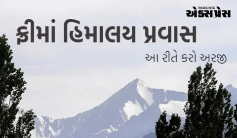 યુવક સેવા અને સાંસ્કૃતિક પ્રવૃત્તિઓ વિભાગ દ્વારા નિ:શુલ્ક હિમાલય ભ્રમણનું આયોજન