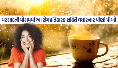 જો તમે વરસાદની મોસમમાં સ્વસ્થ રહેવા માંગતા હોવ તો દરરોજ આ રોગપ્રતિકારક શક્તિ વધારનાર પીણાં પીઓ
