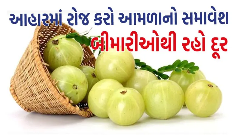 રોજ તમારા આહારમાં આમળાનો સમાવેશ કરો, બીમારીઓ તમારાથી રહેશે દૂર 