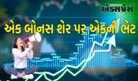 BONUS Share : એક બોનસ શેર પર એકની ભેટ - એક વર્ષમાં સ્ટોકની કિંમત બમણી