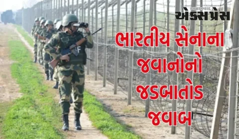 BSFએ ફરી પાકિસ્તાનની નાપાક યોજનાને નિષ્ફળ બનાવી, ફાઝિલ્કા બોર્ડર પર PAK ઘૂસણખોરને માર્યો