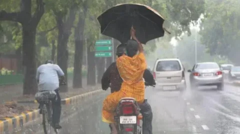 ગુજરાતમાં ભારે વરસાદની આગાહી, હાઈ એલર્ટ જાહેર 