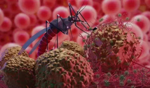 Chandipura Virus : ગુજરાતમાં ચાંદીપુરા વાઈરસની અસર, બાળકો પર થતાં ગભરાટ