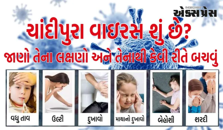 બાળકોની જાન લેવાવાળો ચાંદીપુરા વાઇરસ શું છે , જાણો તેના લક્ષણો અને તેનાથી કેવી રીતે બચવું