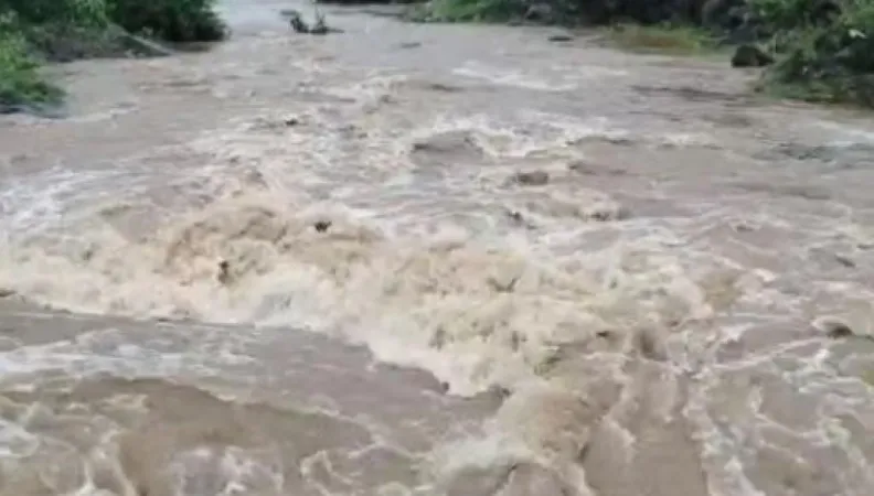 Anand Rain: આણંદના બોરસદમાં માત્ર 6 કલાકમાં 14 ઈંચ વરસાદ  