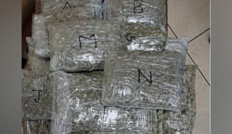 મુંબઈ કસ્ટમ્સે રૂ. 13.11 કરોડનું સોનું, ગાંજા અને ફોરેક્સ જપ્ત કર્યું; 7ની ધરપકડ