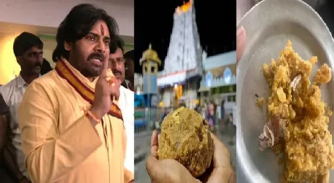 તિરુપતિ લાડુ "દૂષણ" માટે ભૂતપૂર્વ સીએમ જગન રેડ્ડી જવાબદાર, પવન કલ્યાણનો આરોપ