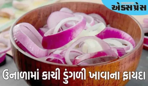ઉનાળામાં દરરોજ કાચી ડુંગળી ખાશો તો શું થશે? જાણો નિષ્ણાતે શું કહ્યું