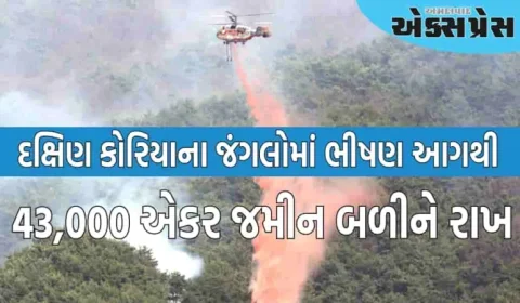 દક્ષિણ કોરિયાના જંગલોમાં આગ લાગવાથી ભારે હાહાકાર, 16 લોકોના મોત
