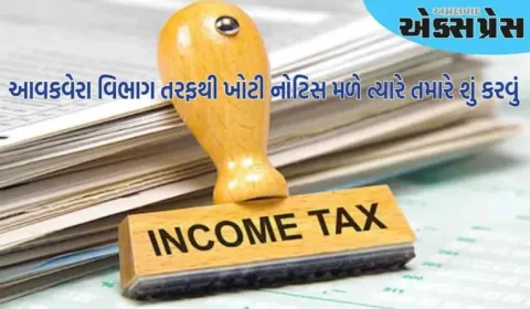જો આવકવેરા વિભાગ ખોટી નોટિસ મોકલે તો તરત જ કરો આ કામ, આ રીતે કેસ ઉકેલો