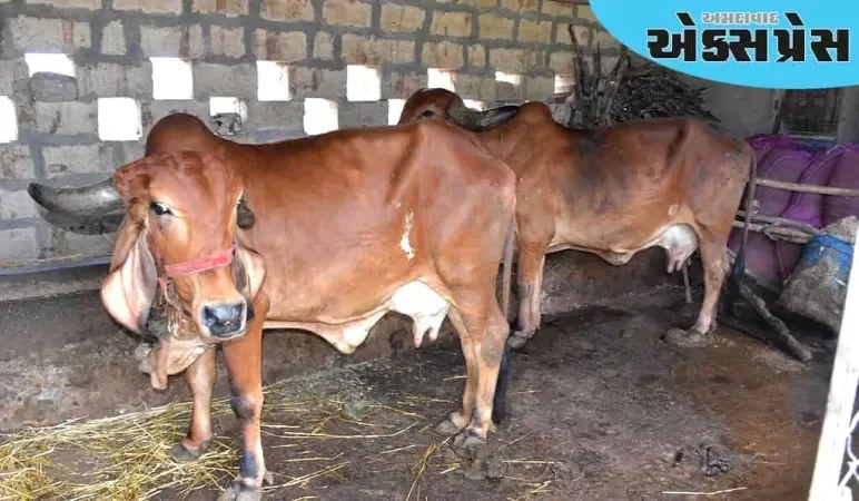 પ્રાકૃતિક કૃષિમાં દેશી ગાય અને સૂક્ષ્મ જીવાણુનું મહત્વ