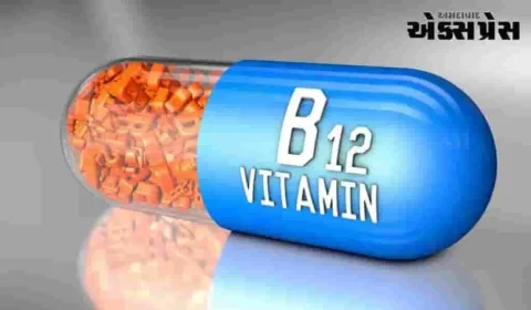 શરીરમાં વિટામિન B12 ની ઉણપ નહીં રહે! દરરોજ આ ડ્રાયફ્રૂટ પાણી પીવાનું શરૂ કરો