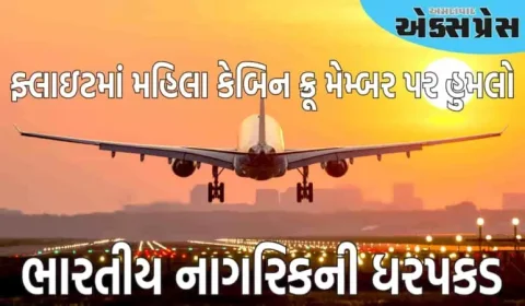 મહિલા કેબિન ક્રૂ મેમ્બર પર હુમલો કરવાના આરોપમાં એક ભારતીય નાગરિકની ધરપકડ