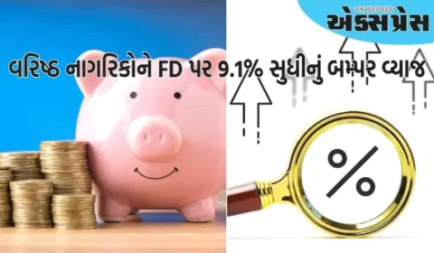 અહીં વરિષ્ઠ નાગરિકોને FD પર 9.1% સુધીનું બમ્પર વ્યાજ મળી રહ્યું છે, જાણો દરો