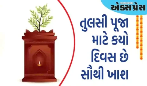 તુલસી પૂજા માટે આ છે સૌથી ખાસ દિવસ, આ પદ્ધતિથી કરો પૂજા, મળશે આર્થિક લાભ!