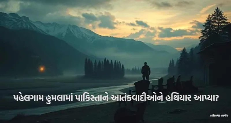 પાકિસ્તાને પહેલગામ હુમલામાં આતંકવાદીઓને હથિયાર આપ્યા? NIA FIRમાં મોટો ખુલાસો!