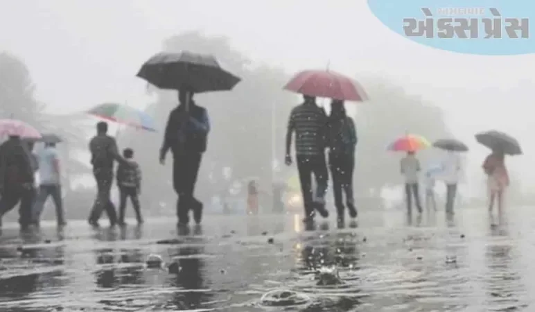 નર્મદા જિલ્લામાં રાત્રી દરમિયાન અને સવારે કમોસમી વરસાદ વરસ્યો