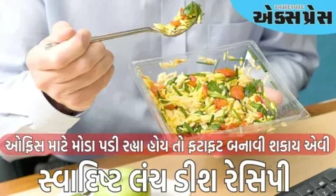 ઉનાળામાં ટિફિન માટે બનાવો આ સ્વાદિષ્ટ અને સ્વસ્થ વસ્તુઓ, તે તરત જ તૈયાર થઈ જશે