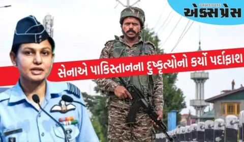 26 સ્થળોએ હુમલા, ફાઇટર જેટ દ્વારા હુમલો અને ખોટા દાવા... સેનાએ પાકિસ્તાનના દુષ્કૃત્યોનો કર્યો પર્દાફાશ 
