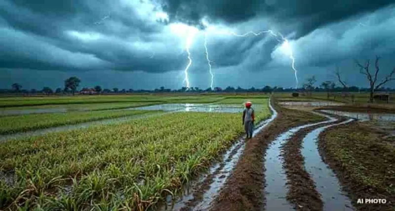 અમરેલીમાં વીજળી-વરસાદનો તોફાન: ખેડૂતોની મુશ્કેલી વધી | તાજા હવામાન અપડેટ