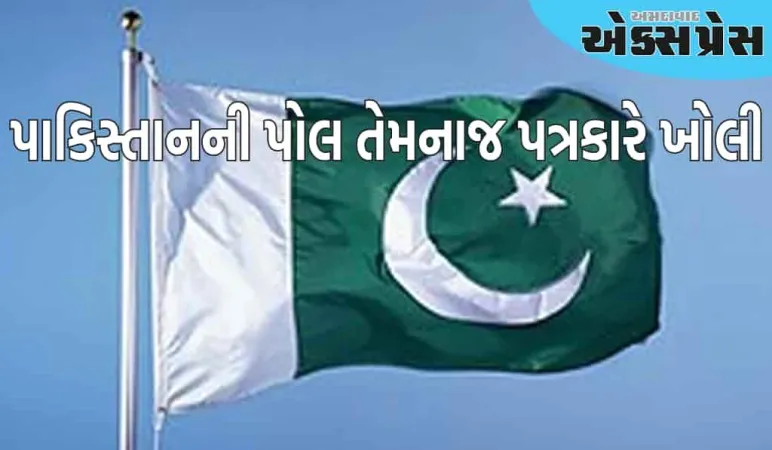 પાકિસ્તાની પત્રકારે પોતાની જ સરકારનો પર્દાફાશ કર્યો