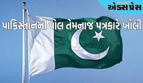 પાકિસ્તાની પત્રકારે પોતાની જ સરકારનો પર્દાફાશ કર્યો