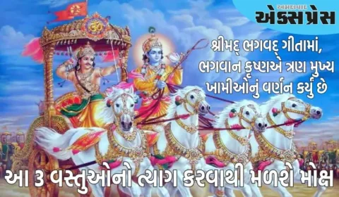 જીવનમાં આ 3 વસ્તુઓનો ત્યાગ કરવાથી મોક્ષ મળે છે, તેનો ઉલ્લેખ શ્રીમદ્ ભાગવત ગીતામાં પણ છે!