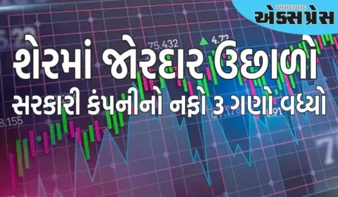 આ સરકારી કંપનીનો નફો 3 ગણો વધ્યો, રોકાણકારોમાં શેર ખરીદવા માટે સ્પર્ધા