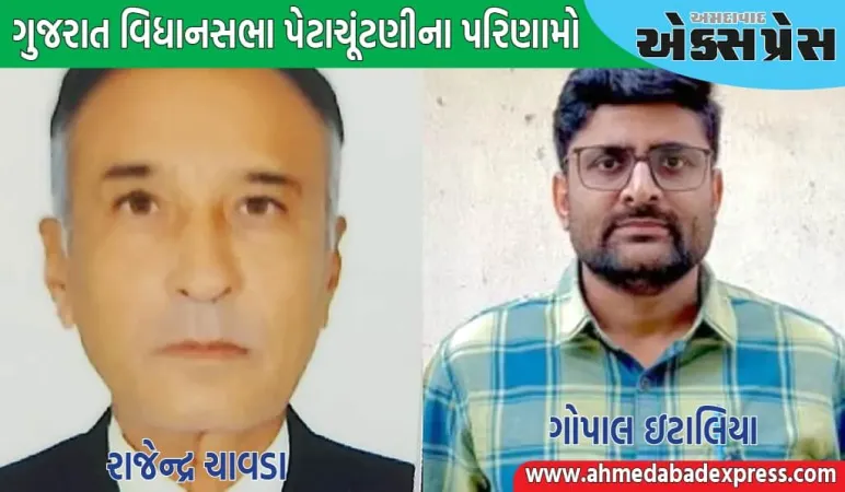 વિસાવદરમાં AAPનો વિજય, કડીમાં ભાજપનો વિજય, જાણો કોને કેટલા મત મળ્યા